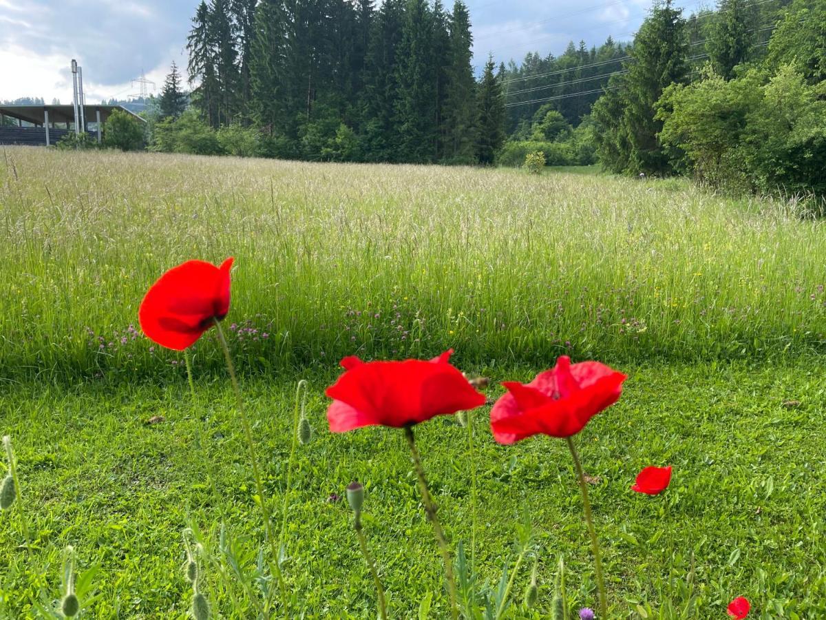 Ferienwohnungen Wrolich Latschach ober dem Faakersee Exterior foto